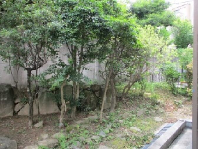 写真：カトレアの庭