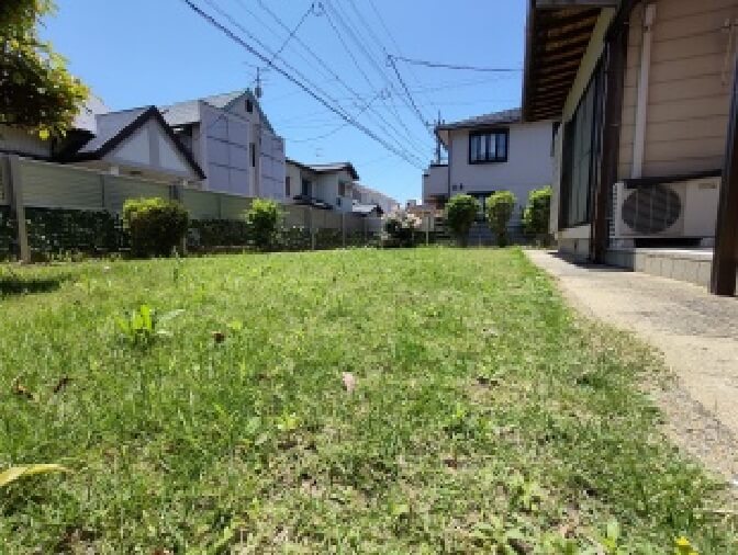 写真：コスモスの庭