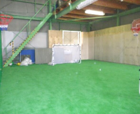 写真：ビオラの室内運動場