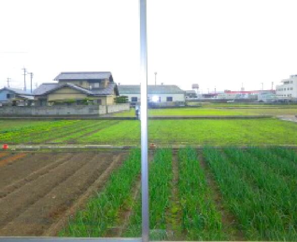 写真：ビオラ周辺の広大な畑